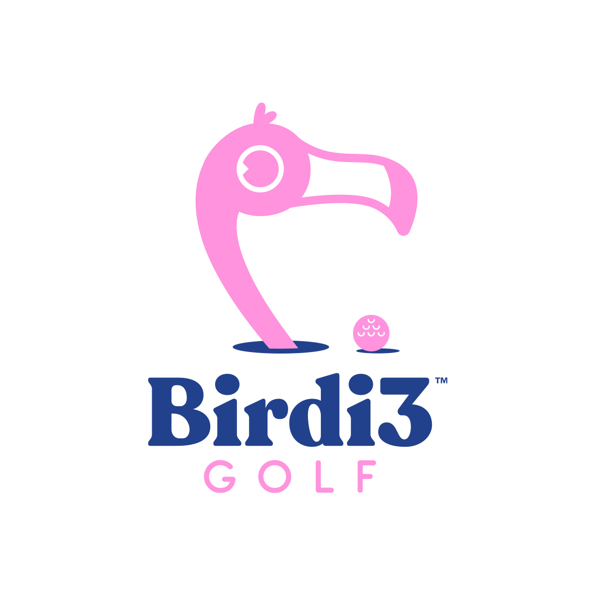 Various-Logos_Birdi